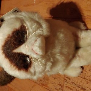 Grumpy Cat